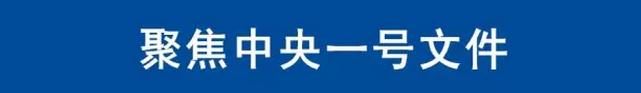 中央“突發(fā)”一號(hào)文件，看農(nóng)化行業(yè)如何受益？